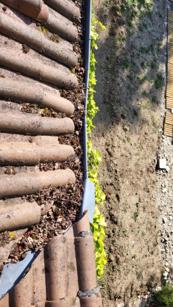 nettoyage de toiture Cognac 17 nettoyage de toiture Cognac