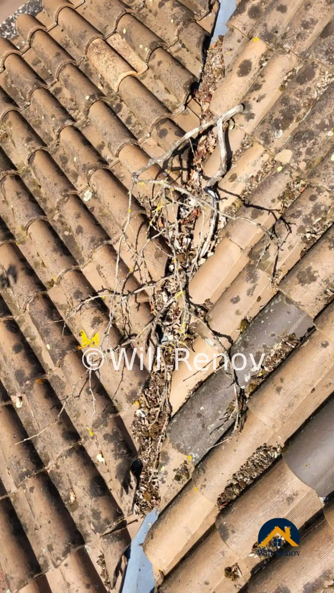 Nettoyage-dun-chaineau-bouchee-par-des-feuilles-a-fleac-en-charente-